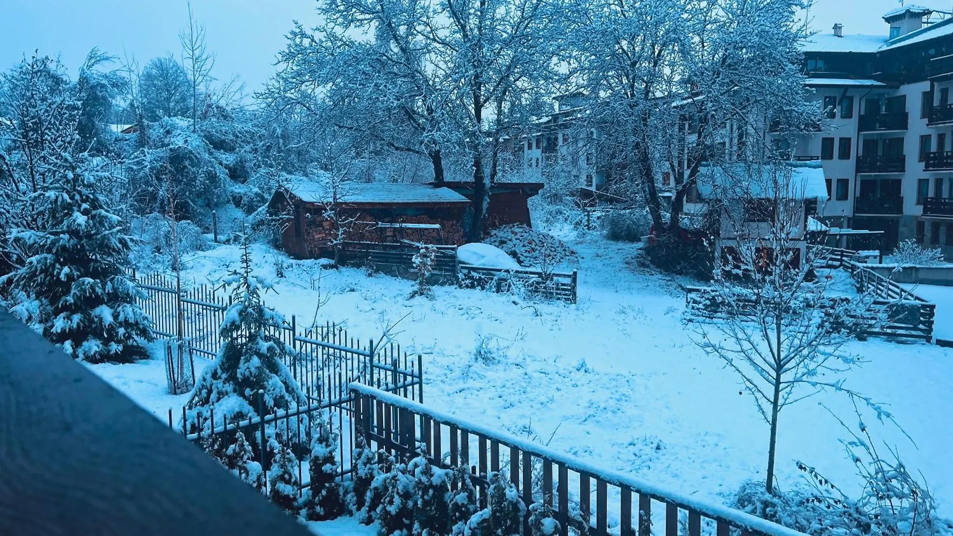 Mountain Cedar Pine 1 Bedroom Apt Near Ski Gondola バンスコ